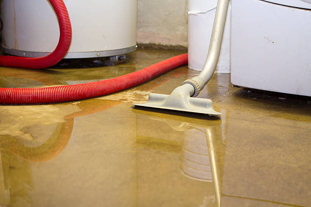 Best Mold removal after water damage  in Marlton, NJ