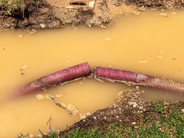 Best Water damage restoration near me  in Marlton, NJ